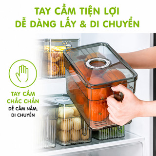Hộp Lạnh Đựng Hoa Quả Để Tủ Lạnh Có Tay Cầm GD118 - Hộp Đựng Thực Phẩm Tủ Lạnh Có Khay Tách Nước