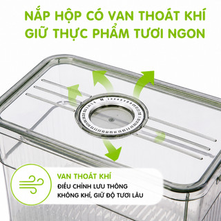 Hộp Lạnh Đựng Hoa Quả Để Tủ Lạnh Có Tay Cầm GD118 - Hộp Đựng Thực Phẩm Tủ Lạnh Có Khay Tách Nước