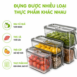 Hộp Lạnh Đựng Hoa Quả Để Tủ Lạnh Có Tay Cầm GD118 - Hộp Đựng Thực Phẩm Tủ Lạnh Có Khay Tách Nước