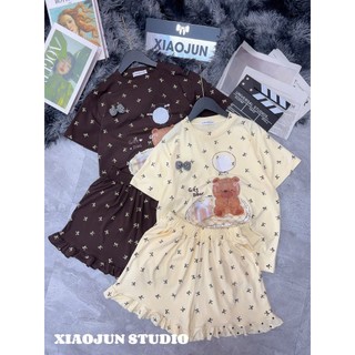 PHẠM THÙY SHOP: SET BỘ CT ZIP IN HÌNH CHÚ GẤU CẦM QUẢ BÓNG BAY