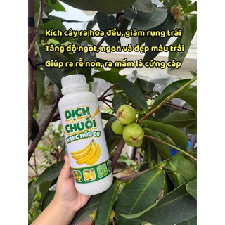 1 Lít Chế Phẩm Dịch Chuối Humic Hữu Cơ