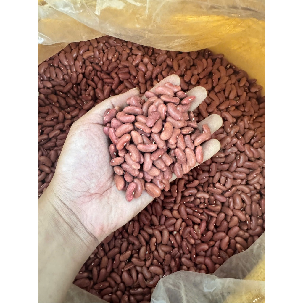 Đậu Đỏ Tây Đà Lạt Đậu Thận Loại 1 Hạt To Đều Dùng Nấu Súp Hầm Thịt Salad Chili