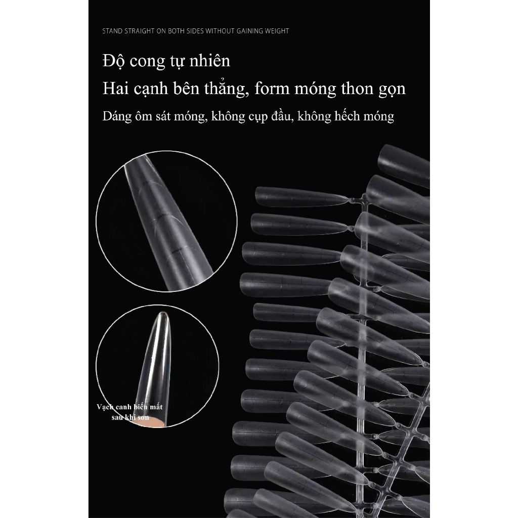 ROUNI Móng úp 6 trong 1 Trong Suốt 240pcs Dành Cho Nail Salon