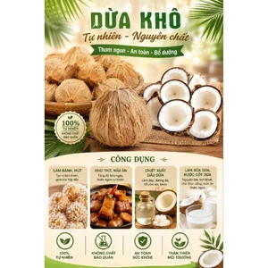 Dừa khô đã lột vỏ loại 1kg - 1.3kg nguyên liệu dùng để làm bánh mức, nấu chè kho thịt, dầu dừa...
