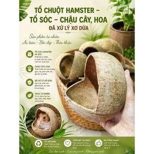 Gáo dừa cắt hàm ếch đã xử lý xơ dừa | Dùng làm tổ chuột hamster, sóc, chậu cây, hoa....
