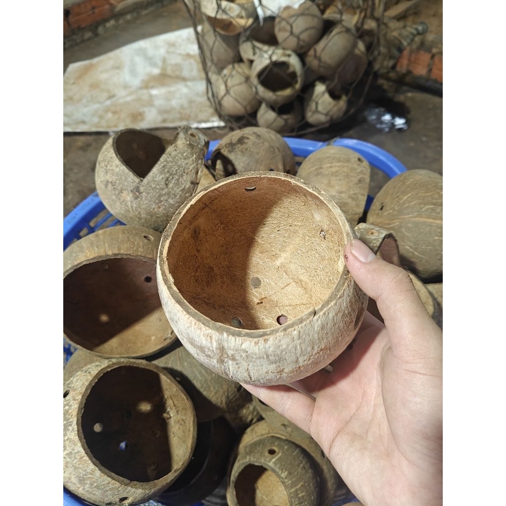 Chậu gáo dừa thủ công lớn đã qua xử lý phần xơ dừa | dùng làm chậu, đựng rau gia vị, đựng, trang trí decor