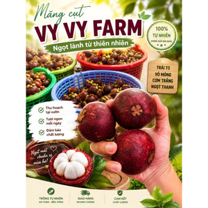 MĂNG CỤT SIÊU NGỌT LOẠI 1 SIZE 1 KG/ 12-14 TRÁI