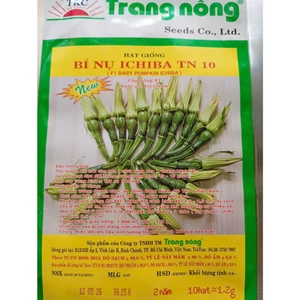 10 Hạt Bí Nụ ICHIBA TN10, Hạt Nảy Mầm Mạnh, Trồng Quanh Năm, Năng Suất Cao, Trĩu Quả, Rau Ăn Quả Trang Nông Nổi Tiếng