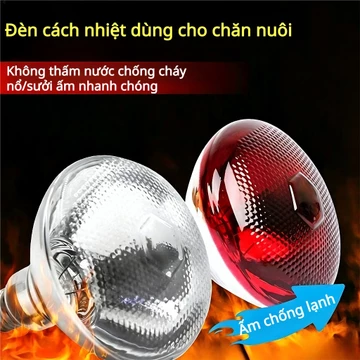 Đèn Sưởi Chăn Nuôi Gia Súc Đèn Sưởi Thú Y Đèn Hồng Ngoại Thú Y Bóng Đèn E27 150W Dùng Cho Gà Heo Bò