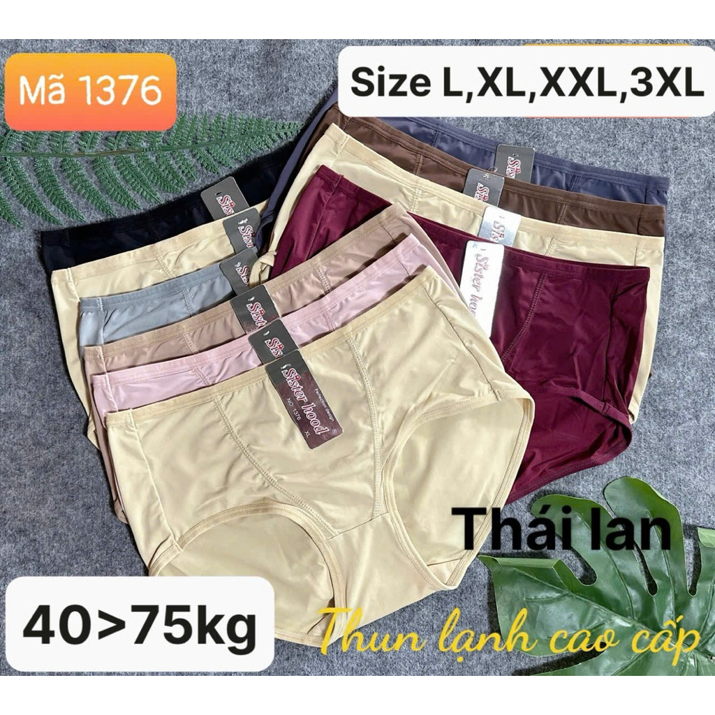 5 quần lót nữ thun lạnh cao cấp Thái -1376 size (40-70kg)