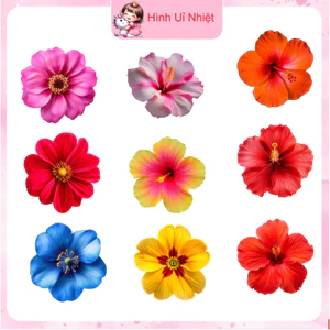 Hình in pét ủi nhiệt,mẫu hoa lá ủi nhiệt quần áo,nhiều màu,nhiều mẫu,ủi tại nhà bằng bàn ủi