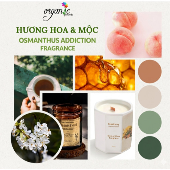 HƯƠNG HOA & MỘC (OSMANTHUS ADDICTION FRAGRANCE) | Hương Liệu Cho Nến Thơm, Nước Hoa & Mỹ Phẩm