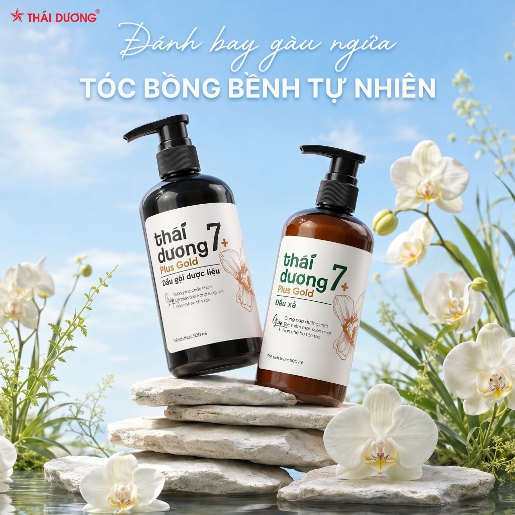 [Live] Dầu gội Thái Dương 7 Plus Gold kèm quà tặng - Sao Thái Dương dầu gội dược liệu dành cho tóc khô xơ hư tổn