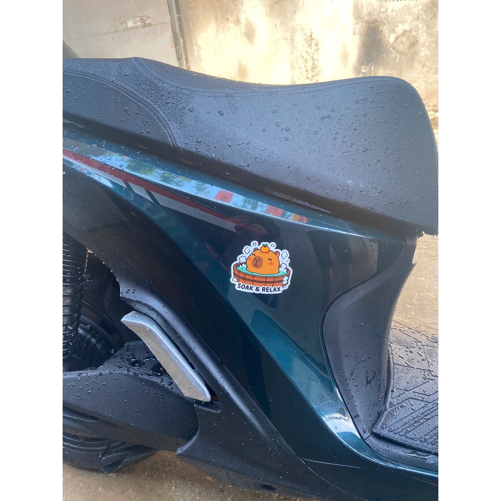 Sticker Capybara Dễ Thương Chống Nước – Decal Dán Laptop, Bình Nước, Vali, Xe Máy, Ô Tô