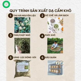 Cây Dạ Cẩm Khô 1kg Nguyên Chất | Dược Liệu Khô Chọn Lọc | Thảo Dược Đạt Huyền
