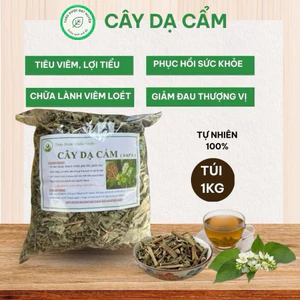 Cây Dạ Cẩm Khô 1kg Nguyên Chất | Dược Liệu Khô Chọn Lọc | Thảo Dược Đạt Huyền