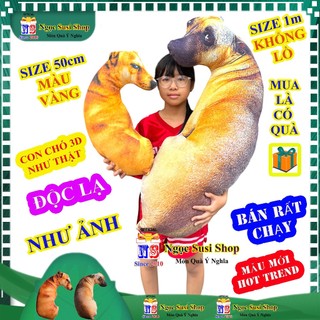 Thú Nhồi Bông Con Chó 3D Độc Lạ Siêu Thực - Gấu Bông Chó Corgi, Chó Liếc Nâu Siêu Mịn NGỌC SUSI