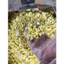 Tinh Bột Nghệ Gạo Lứt Đỏ [Hộp 500g] - Tốt Cho Dạ Dày & Giúp Sáng Da