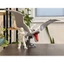 Mô Hình Aerodactyl Kích Thước 29cm Có Đế – Aerodacty 29cm Tượng Pokemon Tự Lắp Ghép