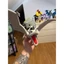 Mô Hình Aerodactyl Kích Thước 29cm Có Đế – Aerodacty 29cm Tượng Pokemon Tự Lắp Ghép
