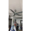 Quạt Trần 5 Cánh Cao Cấp Quạt Trần Phòng Khách Asia QT16 55W, Động Cơ DC Tiết Kiệm điện, Bảo Hành 24 Tháng