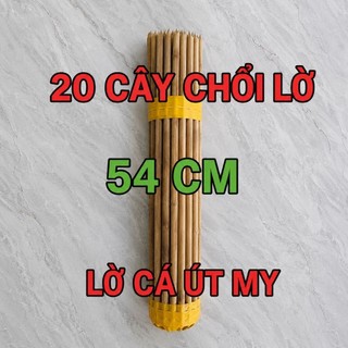 Combo 20 cây chổi lờ cá Dài 54cm