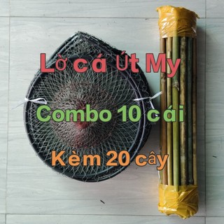 COMBO 10 cái Lờ cá lóc KÈM 20 cây chổi