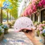 Mũ Nón bảo hiểm cá heo họa tiết hello Kity Đạt Chuẩn quatest Siêu Dễ Thương Dành Cho Em Bé Và Người Lớn