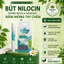 NILOCIN – NGĂN NGỪA & ĐÁNH BAY NẤM MÓNG