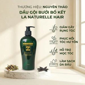 Dầu Gội Bưởi Bồ Kết Sạch Gàu Hết Ngứa Giảm Rụng Kích Thích Mọc Tóc Nguyên Thảo 380ml