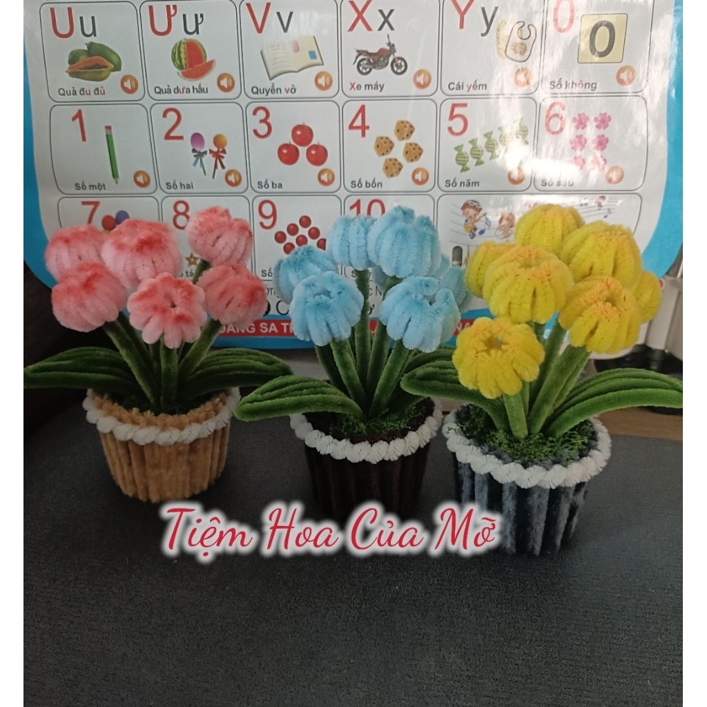 Chậu Hoa Tulip Kẽm Nhung Mini , Cành Tulip Mini Kẽm Nhung Siêu Xinh