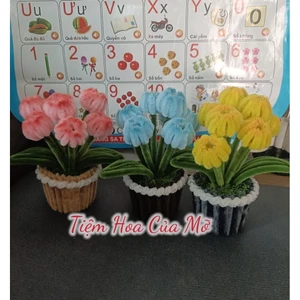 Chậu Hoa Tulip Kẽm Nhung Mini , Cành Tulip Mini Kẽm Nhung Siêu Xinh