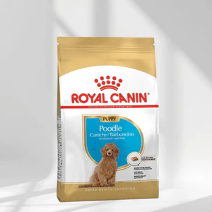Thức ăn hạt Royal canin Poodle Puppy Adult cho chó lông xoăn