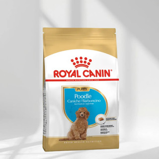 [500g - 1.5kg] Thức ăn hạt Royal canin Poodle Puppy Adult cho chó lông xoăn