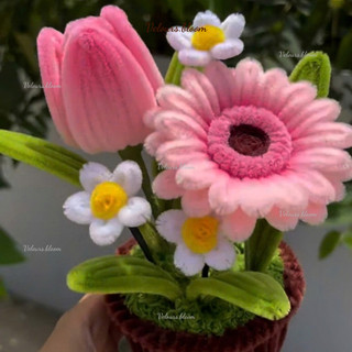 [HANDMADE] Chậu Hoa Kẽm Nhung Mix Tulip Xanh & Đồng Tiền Hồng – Trang Trí Bàn Làm Việc, Quà Tặng Ý Nghĩa