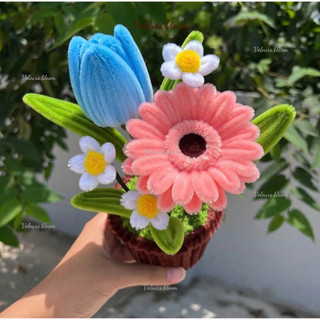 [HANDMADE] Chậu Hoa Kẽm Nhung Mix Tulip Xanh & Đồng Tiền Hồng – Trang Trí Bàn Làm Việc, Quà Tặng Ý Nghĩa