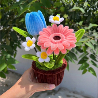 [HANDMADE] Chậu Hoa Kẽm Nhung Mix Tulip Xanh & Đồng Tiền Hồng – Trang Trí Bàn Làm Việc, Quà Tặng Ý Nghĩa