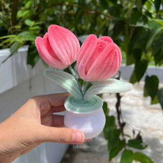 [Handmade] Chậu Tulip Mix Cúc Trắng Mini kẽm nhung - Quà Tặng Handmade Dễ Thương, Trang Trí Bàn Làm Việc