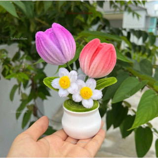 [Handmade] Chậu Tulip Mix Cúc Trắng Mini kẽm nhung - Quà Tặng Handmade Dễ Thương, Trang Trí Bàn Làm Việc