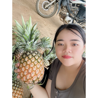 Dứa mật pulau điện biên 2 quả (3,5kg-4,5kg cho 2 quả )dứa sạch bao ngon.