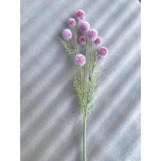 [Rẻ vô địch] Cành Bồ Công Anh 9 quả ( ẢNH THẬT ) hàng thân mốc dài 80 cm