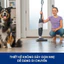 Máy Hút Bụi Lau Sàn Tineco iFloor 2 Max - Bảo Hành 12 Tháng Chính Hãng - 1 Đổi 1 Trong 15 Ngày