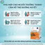 NZ-Gluco B Everyday Health 30 viên hỗ trợ ổn định đường huyết, hỗ trợ sức khỏe người trưởng thành