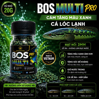 Cám BOS Pro  tăng màu Xanh - Đỏ - Vàng Cá Lóc cảnh  Hỗ Trợ Tăng Màu vượt trội