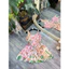 Váy thô xước 2 dây hoa nổi ZMM QCCC