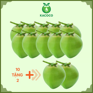 Bao 12 Trái Dừa Xiêm Xanh Bến Tre/Tiền Giang Nguyên Vỏ KACOCO (10 tặng 2) - Dừa xiêm ngọt uống nước giải khát mùa hè