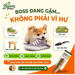 Beam Paws Đồ Chơi Gặm Gỗ Cà Phê Cho Cún ,An Toàn Giảm Stress & Hỗ Trợ Vệ Sinh Răng Miệng