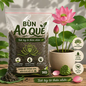 Bùn Ao Quê - Tinh túy từ thiên
