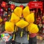 COMBO Ngẫu Nhiên 10 Lồng Đèn Hội An Vải Lụa Gấm (10-20-30-40cm)