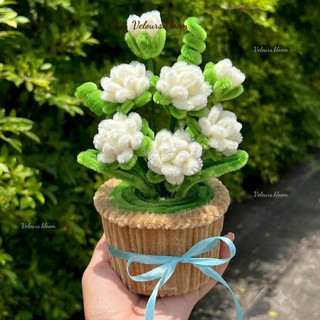 [HANDMADE] Chậu Hoa Nhài Kẽm Nhung Mini – Quà Tặng Thủ Công Dễ Thương Trang Trí Bàn Làm Việc